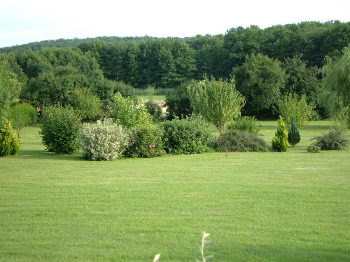 Вилла Le Lansquenet Rorbach-les-Dieuze Экстерьер фото